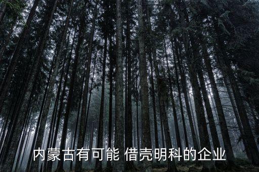 內蒙古有可能 借殼明科的企業(yè)