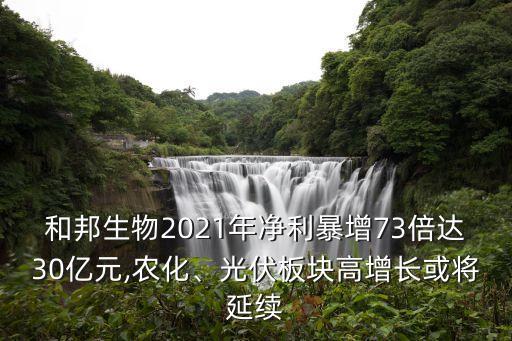 和邦生物2021年凈利暴增73倍達(dá)30億元,農(nóng)化、光伏板塊高增長(zhǎng)或?qū)⒀永m(xù)