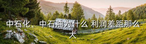 中石化、中石油為什么 利潤(rùn)差距那么大