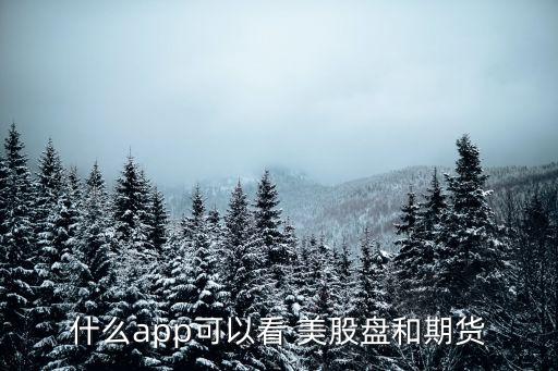和中國一樣美股交易軟件,美股交易軟件哪個好