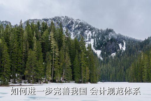 中國會計導向,以顧客為導向?qū)嫷挠绊?/></a></span><span id=