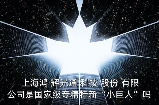  上海鴻 輝光通 科技 股份 有限公司是國家級(jí)專精特新“小巨人”嗎