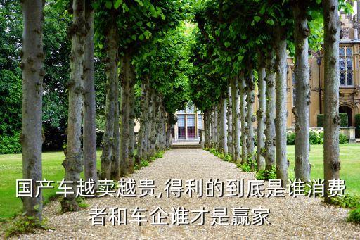 中國(guó)中高端汽車?yán)麧?rùn)高