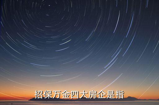招保萬(wàn)金四大房企是指