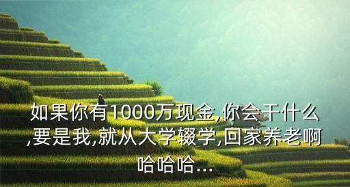 如果你有1000萬現(xiàn)金,你會干什么,要是我,就從大學(xué)輟學(xué),回家養(yǎng)老啊哈哈哈...