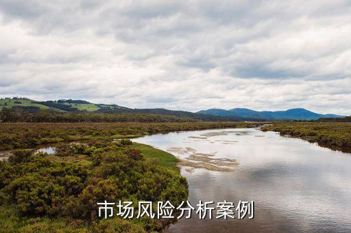 市場風(fēng)險分析案例