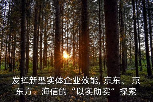 發(fā)揮新型實(shí)體企業(yè)效能, 京東、 京東方、海信的“以實(shí)助實(shí)”探索