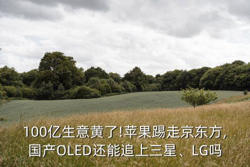 100億生意黃了!蘋果踢走京東方,國產(chǎn)OLED還能追上三星、LG嗎