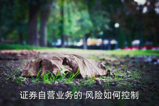 證券自營業(yè)務(wù)的 風(fēng)險(xiǎn)如何控制