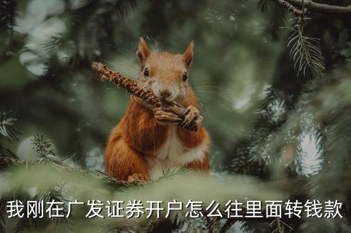 股票怎么打錢(qián),如何給股票賬號(hào)打錢(qián)