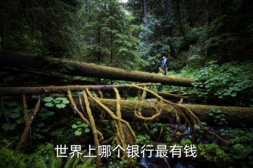 世界上哪個(gè)銀行最有錢(qián)