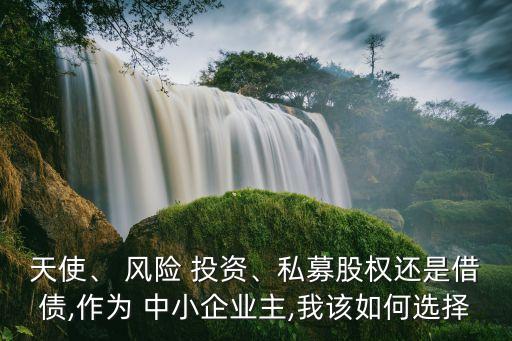 天使、 風(fēng)險(xiǎn) 投資、私募股權(quán)還是借債,作為 中小企業(yè)主,我該如何選擇