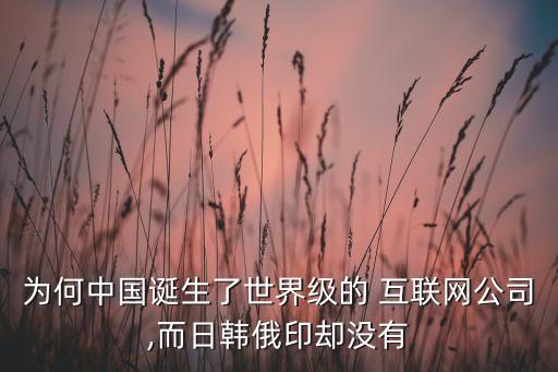 為何中國誕生了世界級的 互聯(lián)網公司,而日韓俄印卻沒有