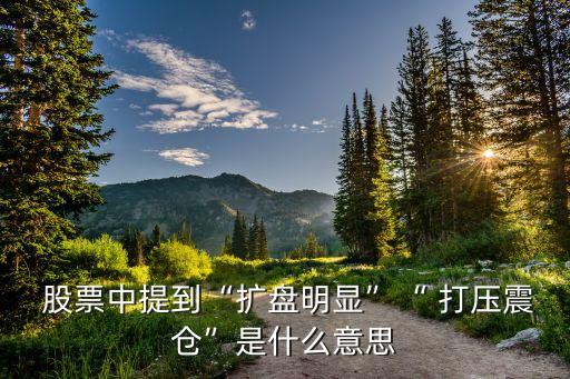 股票游資打壓是什么意思,股票中的游資和機構是什么意思