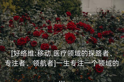 [好絡(luò)維:移動 醫(yī)療領(lǐng)域的探路者、專注者、領(lǐng)航者]一生專注一個領(lǐng)域的...