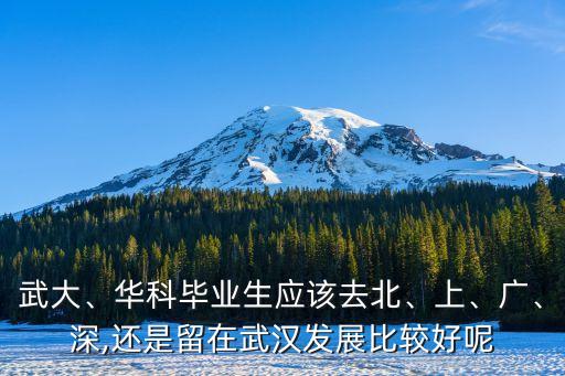 武大、華科畢業(yè)生應(yīng)該去北、上、廣、深,還是留在武漢發(fā)展比較好呢