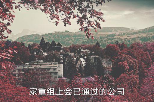 13家重組上會(huì)已通過的公司