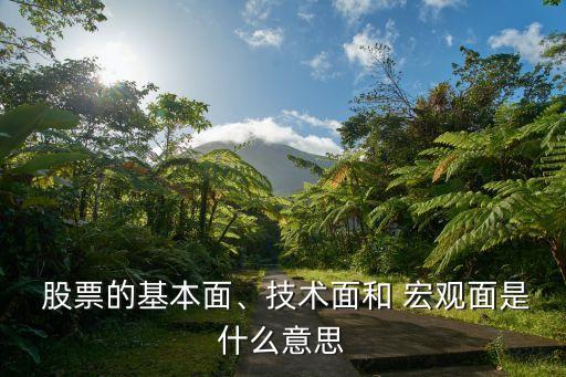  股票的基本面、技術(shù)面和 宏觀面是什么意思