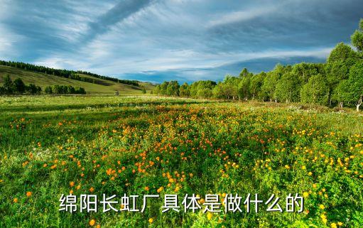 綿陽(yáng)長(zhǎng)虹廠具體是做什么的