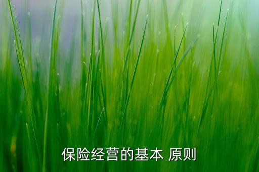 保險經(jīng)營的基本 原則
