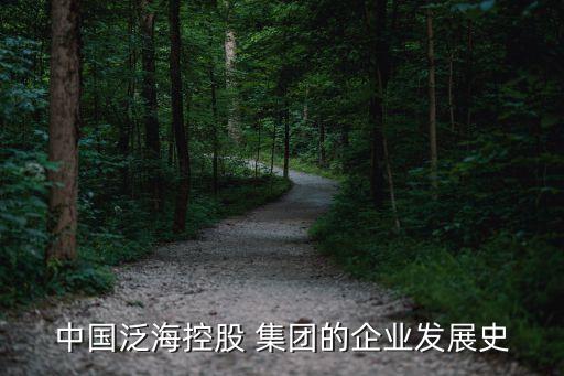 中國(guó)泛?？毓?集團(tuán)的企業(yè)發(fā)展史