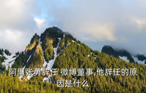 阿里張勇辭任 微博董事,他辭任的原因是什么