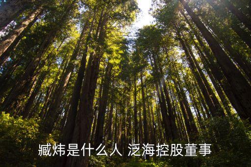臧煒是什么人 泛?？毓啥? class=
