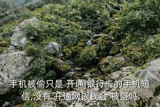 銀行卡不開通網(wǎng)銀會(huì)被盜嘛,怎么知道銀行卡有沒(méi)有開通網(wǎng)銀