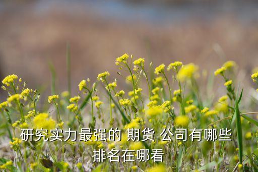 研究實(shí)力最強(qiáng)的 期貨 公司有哪些 排名在哪看