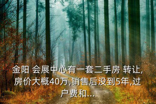 金陽 會(huì)展中心有一套二手房 轉(zhuǎn)讓,房?jī)r(jià)大概40萬,銷售后沒到5年,過戶費(fèi)和...