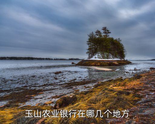 玉山農業(yè)銀行在哪幾個地方