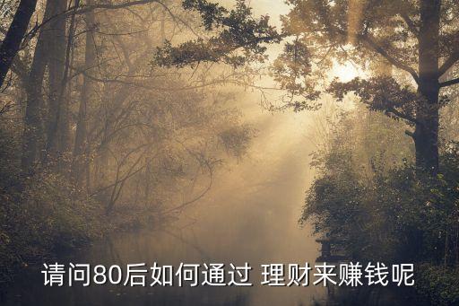 請(qǐng)問80后如何通過 理財(cái)來(lái)賺錢呢