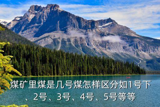  煤礦里煤是幾號煤怎樣區(qū)分如1號下、2號、3號、4號、5號等等