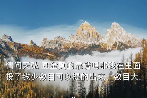 請(qǐng)問(wèn)天弘 基金真的靠譜嗎那我在里面投了錢(qián)少數(shù)目可以提的出來(lái)、數(shù)目大...