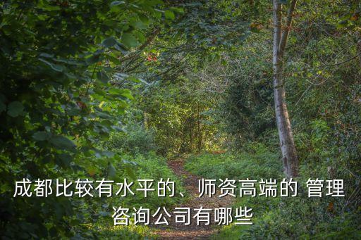 成都比較有水平的、師資高端的 管理 咨詢(xún)公司有哪些