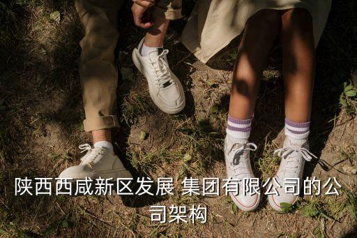 陜西西咸新區(qū)發(fā)展 集團有限公司的公司架構