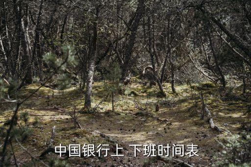 中國銀行一般幾點(diǎn)下班,四大銀行口碑最差的一個