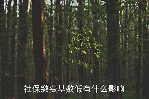 社保繳費(fèi)基數(shù)低有什么影響