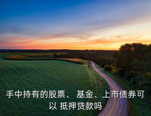 手中持有的股票、 基金、上市債券可以 抵押貸款嗎