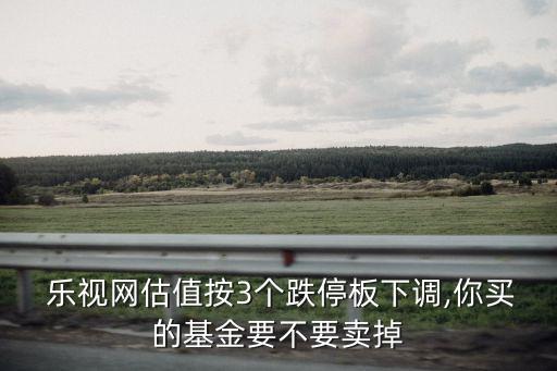  樂視網(wǎng)估值按3個(gè)跌停板下調(diào),你買的基金要不要賣掉