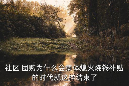 社區(qū) 團(tuán)購(gòu)為什么會(huì)集體熄火燒錢補(bǔ)貼的時(shí)代就這樣結(jié)束了
