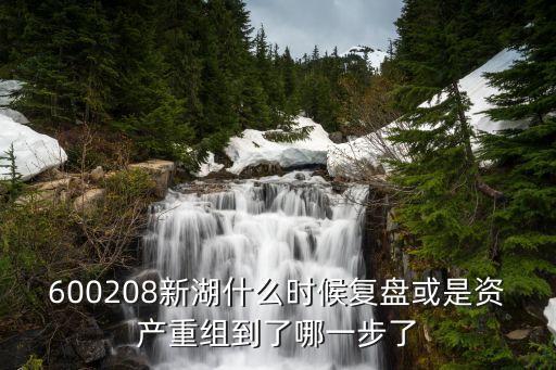 600208新湖什么時候復盤或是資產重組到了哪一步了