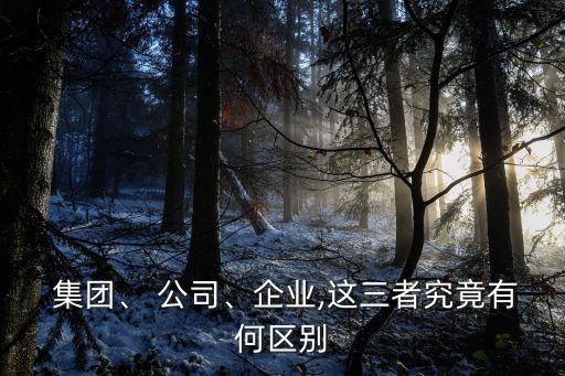  集團(tuán)、 公司、企業(yè),這三者究竟有何區(qū)別
