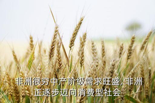  非洲很窮中產(chǎn)階級需求旺盛, 非洲正逐步邁向消費(fèi)型社會