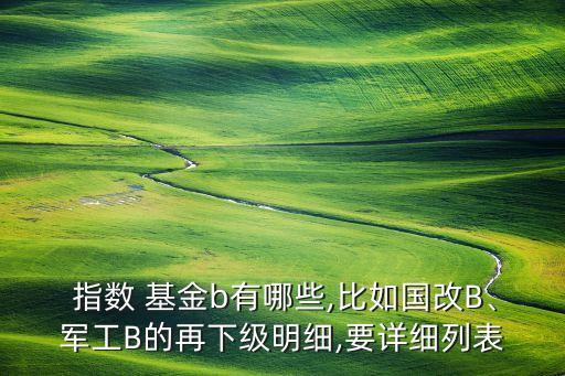  指數(shù) 基金b有哪些,比如國改B、軍工B的再下級明細,要詳細列表