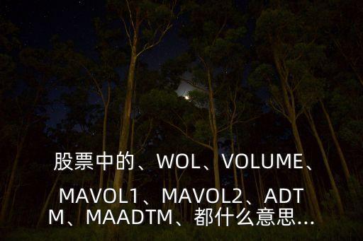  股票中的、WOL、VOLUME、MAVOL1、MAVOL2、ADTM、MAADTM、都什么意思...
