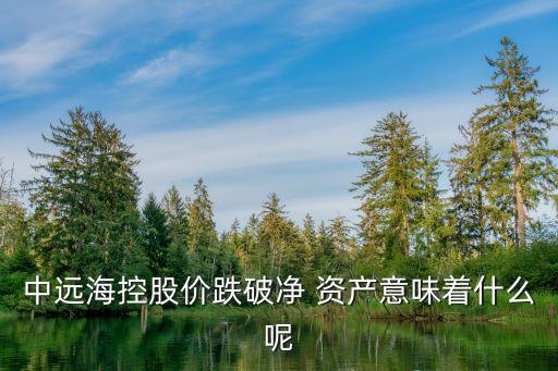 中遠(yuǎn)?？毓蓛r(jià)跌破凈 資產(chǎn)意味著什么呢