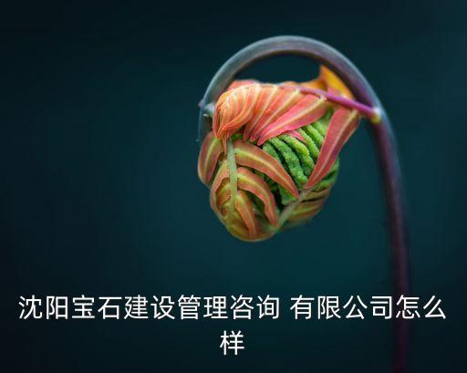 龐?？毓捎邢薰?安徽龐海智能設(shè)備制造有限公司