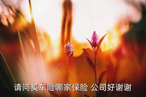 請(qǐng)問買車險(xiǎn)哪家保險(xiǎn) 公司好謝謝