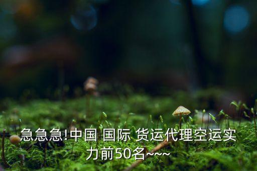 上海長(zhǎng)發(fā)國際貨運(yùn)有限公司,上海金鵬國際貨運(yùn)有限公司